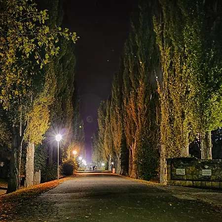 Отель Ensana Esplanade